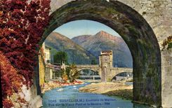 CPA Sospel Environs de Menton Vue Sur le Vieux pont et la Bevera