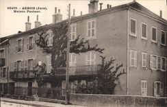 VINTAGE POSTCARD Alpine laburnum Pasteur House