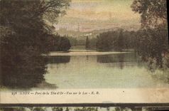 VINTAGE POSTCARD Lyon Park of the Gold Head Seen On the Lake