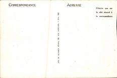 VINTAGE POSTCARD Avignon Walls