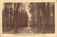 VINTAGE POSTCARD Sanatorium of Parigne the Bishop Gone under wood