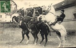 CPA Cheval Equitation Hippisme Saumur Ecole d'application de cavalerie Sauteurs en liberte Courbette 