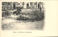 CPA Cheval Equitation Hippisme Saumur Chute douve du Chardonnet 