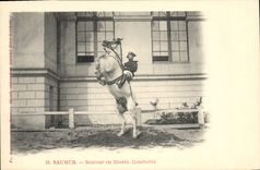 VINTAGE POSTCARD Horse Horsemanship Hippisme Saumur Jumper in Courbette freedom
