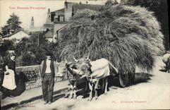 CPA Folklore Basses Pyrenees Attelage Bearnais Boeufs TOP