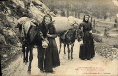 CPA Folklore Pyrenees Types de montagnardes Ane Mule 