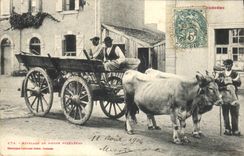 CPA Folklore Attelage de boeufs pyreneens TOP