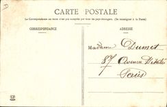 CPA Folklore Attelage de boeufs pyreneens TOP