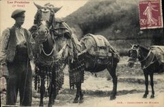 CPA Folklore Pyrenees Conducteurs de mulets TOP