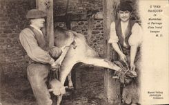 CPA Folklore Types basques Marechal et ferrage d'un boeuf basque TOP