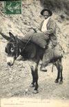 CPA Folklore Pyrenees Type de montagnard sur son Ane Mule TOP
