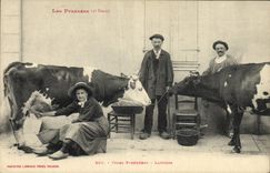 CPA Folklore Types Pyrenees Laitiers Vache TOP