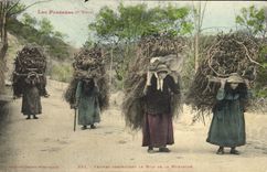 CPA Folklore Pyrenees Femmes descendant le bois de la Montagne TOP