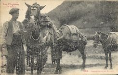 CPA Folklore Conducteur de mulets 