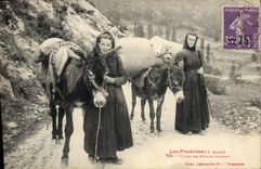 CPA Folklore Types de montagnardes Pyrenees Ane Mule TOP