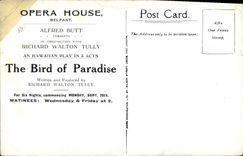 VINTAGE POSTCARD Fantaisie Illustrator Man Operated House Belfast Alfred Butt The bird off paradise