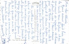 CPM Lisieux Vue Vers la Basilique