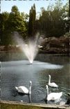 VINTAGE POSTCARD Valencian Garden of Rhonelle Swans