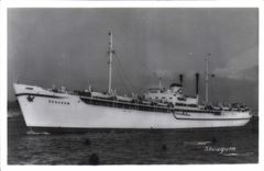 CPA Bateau Paquebot Skaugum