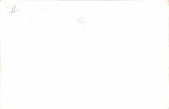 CPA Bateau Paquebot Skaugum