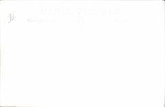 CPA Bateau Paquebot Skaugum