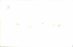 CPA Bateau Paquebot Skaugum