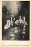 VINTAGE POSTCARD Fantasy Illustrator Child Angel Stork Storks