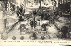 VINTAGE POSTCARD Militaria Falls from the aviator Mr. Fusille by the Germans