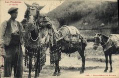 CPA Folklore Pyrenees Conducteur de mulets TOP
