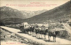 CPA Pyrenees Environs de l'Hospitalet Attelage catalan au sommet du col de Puymaurens Vue sur les hauts sommets