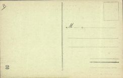 VINTAGE POSTCARD Pyrenees Folklore a mountain coach Beouf Ass Mule