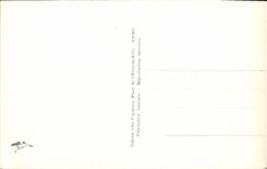 VINTAGE POSTCARD Vichy the Country cottage De I' Empereur