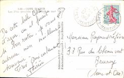 CPA Cote D'Azur Les Pins Penches Et Le Bord De Mer