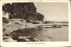 CPA Plage De Carqueiranne