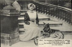 VINTAGE POSTCARD the duchess of Westminster in uniform of the English Red Cross Dog