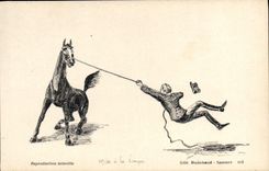 VINTAGE POSTCARD Hippisme Horse Put at the longe