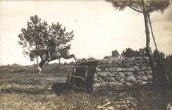 CARTE PHOTO Cheval Hippisme 