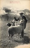 CPA Folklore Hautes Pyrenees Patre en montagne Moutons 