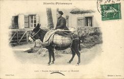 CPA Folklore Femme basquaise allant au marche Ane Mule Biarritz