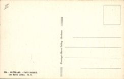 VINTAGE POSTCARD Folklore Guethary Basque Country the oxen caps