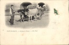 CPA Folklore Pays basque Attelage de boeufs 