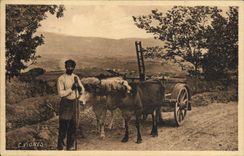 CPA Folklore Attelage basque 