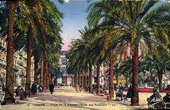 VINTAGE POSTCARD Toulon Places Gone Freedom Of the Palm trees