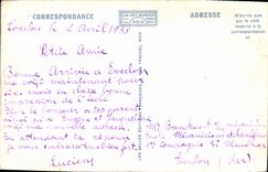 CPA Toulon Place De la Liberte Allee Des Palmiers