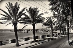 CPM Cote D'Azur Toulon Le Mourillon