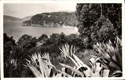 MODERN CARD Surroundings Of Lavandou Rayol