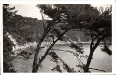 MODERN CARD Soft France Dimensions Azure Toulon Anse of Magaud