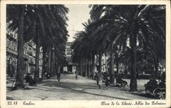 CPA Toulon Place De La Liberte Allee des palmiers