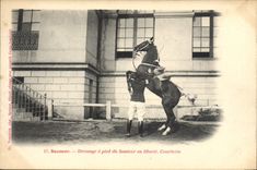 VINTAGE POSTCARD Cheval Hippisme Saumur Dressage has foot of the jumper in Courbette freedom