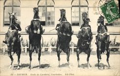 CPA Cheval Hippisme Saumur Ecole de cavalerie Courbettes
